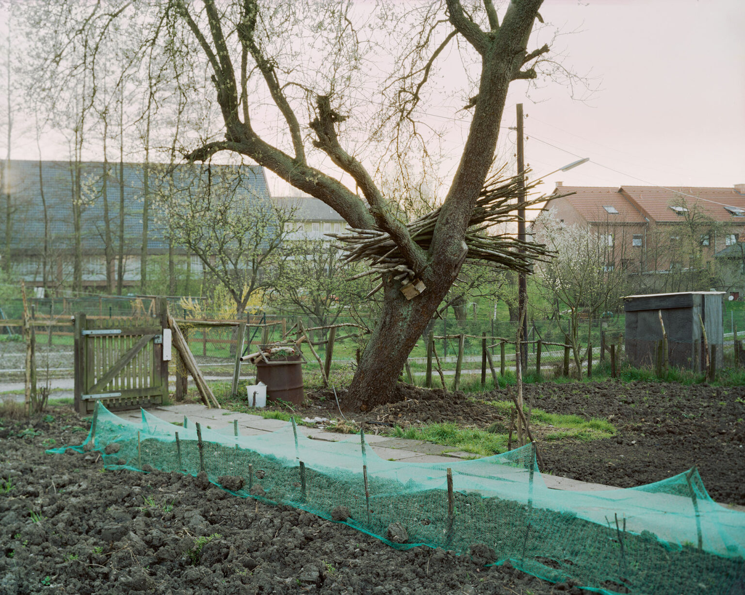 GRABELAND & VICTORY GARDEN von Simone Nieweg Neue Fotografie